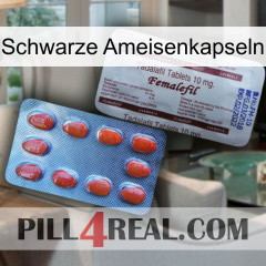 Black Ant Capsules 36